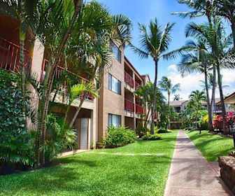 Apartments For Rent In Kaanapali Hi 60 Rentals Apartmentguide Com
