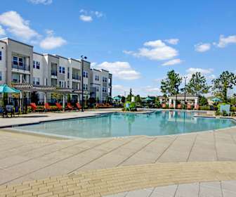 Apartments For Rent In Meadow Woods Fl 231 Rentals Apartmentguide Com