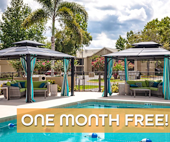 Apartments For Rent In Union Park Fl 419 Rentals