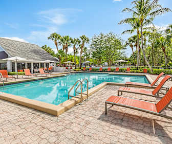 Lakepointe at Jacaranda Apartments, 33322, FL
