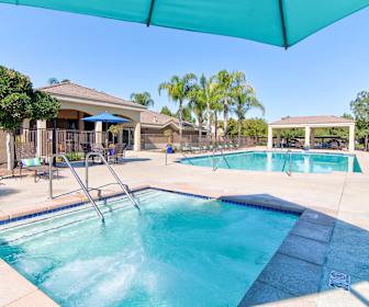 Apartments For Rent In Sun City Ca 336 Rentals Apartmentguide Com