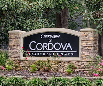 Pet Friendly Apartments For Rent In Northeast Pensacola