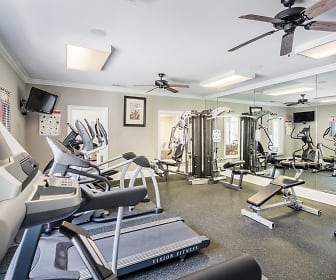 gym featuring carpet, a ceiling fan, and TV, Alta Shores