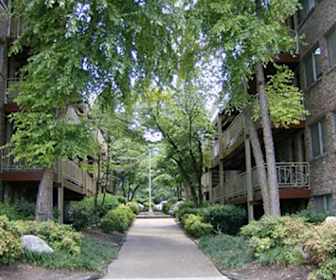 Fort Sanders Studio Apartments For Rent Knoxville Tn 9 Rentals