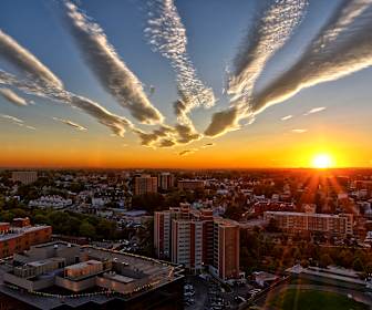 Studio Apartments For Rent In Stamford Ct 22 Rentals