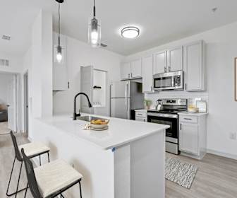 Halston Citrus Ridge, Kissimmee, FL