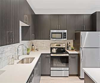 Apartments For Rent In New Brunswick Nj 71 Rentals Apartmentguide Com