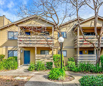 Cheap Apartment Rentals In Rohnert Park Ca