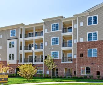 Pet Friendly Apartments For Rent In Freehold Nj