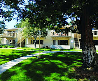 Apartments For Rent In Big Sur Ca 164 Rentals Apartmentguide Com