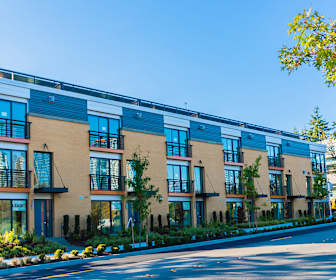 Old Bellevue Apartments For Rent 142 Apartments Bellevue Wa