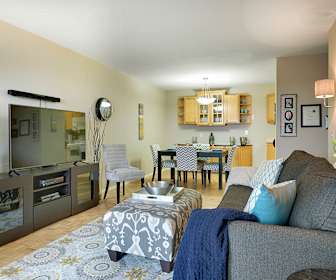 Apartments For Rent With Fireplace In Southwest Minneapolis