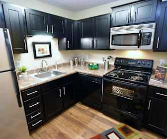Apartments For Rent In Knoxville Tn 389 Rentals