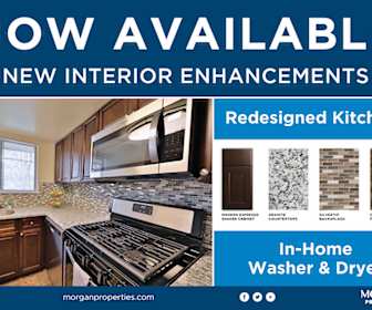 Apartments For Rent In Temple Hills Md 81 Rentals Apartmentguide Com