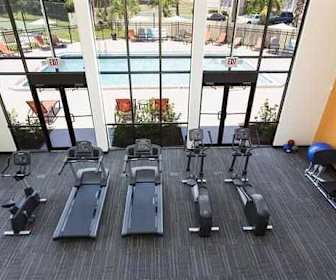Apartments For Rent In Winter Park Fl 233 Rentals