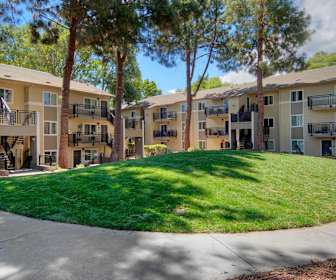 Rent In Cupertino California