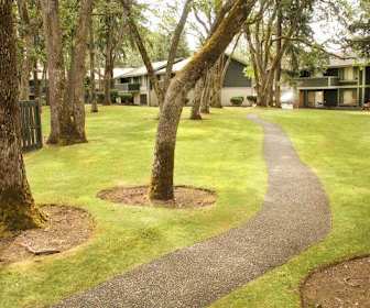 3 Bedroom Apartments For Rent In Lakewood Wa 42 Rentals