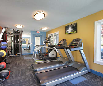 gym featuring natural light and TV, Agora at Port Richey