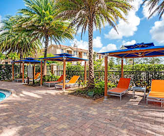 Apartments For Rent In Miami Fl 1288 Rentals