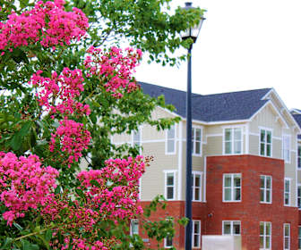 apartments for rent in lexington nc 346 rentals apartmentguide com