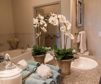 bathroom featuring mirror and vanity, Palms at Cinco Ranch