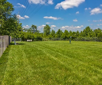 yard with an expansive lawn, Lakeshore Drive Apartments