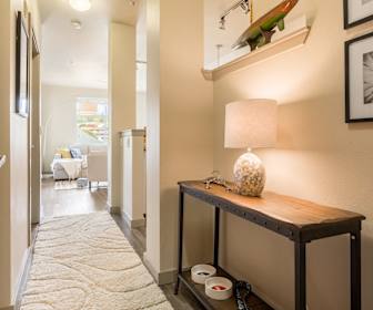 Studio Apartments For Rent In Kirkland Wa 39 Rentals