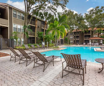 61 Recomended Apartments for rent on dale mabry tampa fl Apartments for Rent