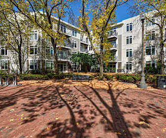 Luxury Apartment Rentals In Winchester Ma
