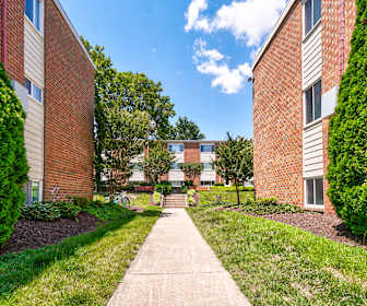 Johns-Hopkins - Homewood Apartments for Rent - 234 Apartments
