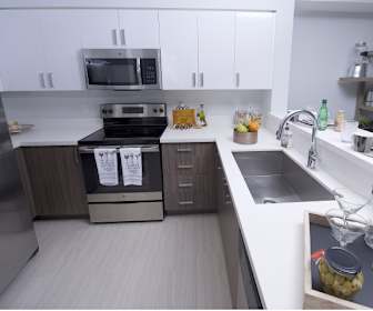Design District Apartments For Rent 239 Apartments Miami Fl Apartmentguide Com