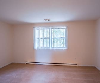 spare room featuring carpet, natural light, and baseboard radiator, New Windsor Gardens