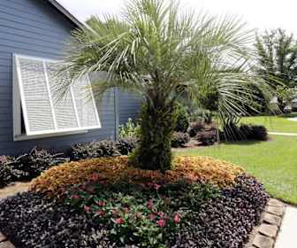 2 Bedroom Apartments For Rent In Orange Beach Al 83 Rentals