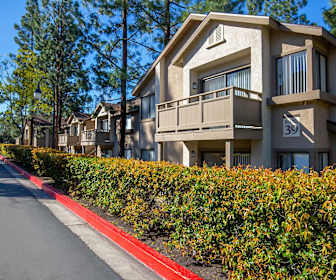 Studio Apartments for Rent in Lake Forest, CA | 12 Rentals