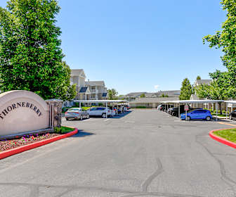 apartments for rent in pleasant grove ut 262 rentals apartmentguide com