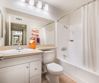 bathroom featuring shower curtain, toilet, mirror, and vanity, Windwood Glen