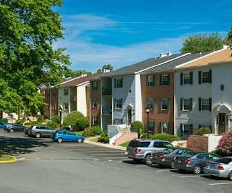 Apartments For Rent In Annandale Va 128 Rentals Apartmentguide Com