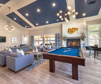 game room featuring a notable chandelier, hardwood flooring, a fireplace, natural light, and TV, Olympus Town Center