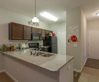 Trier Apartment Rent Apartments For Rent In Leo Cedarville In 296 Rentals