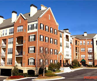 Pet Friendly Apartments For Rent In Buckhead Atlanta Georgia Apartmentguide