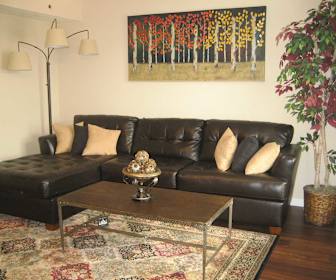 Apartments For Rent In Louisville Bible College Ky 81 Rentals Apartmentguide Com