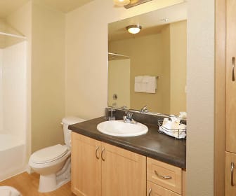 full bathroom featuring tub / shower combination, mirror, toilet, and vanity, City Pointe