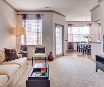 Apartments For Rent In International Business College