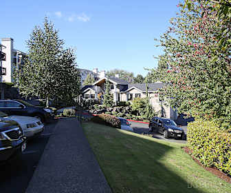 Georgetown Studio Apartments For Rent Seattle Wa 41 Rentals