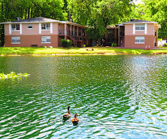 Woodland Acres Apartments For Rent 123 Apartments Jacksonville Fl Apartmentguide Com