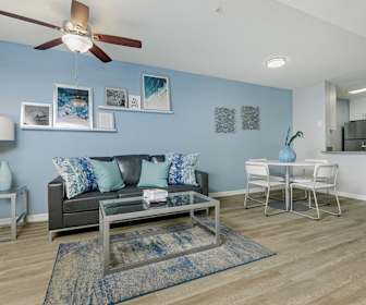 Tampa Fl Apartments Under 800