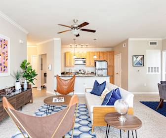 Arch Street, 35758, AL
