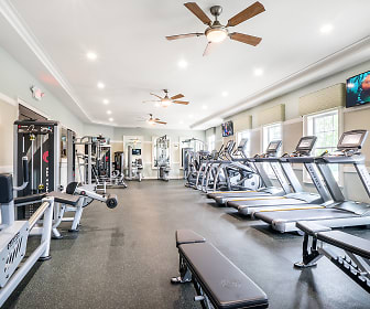 gym with a ceiling fan, carpet, and TV, Sycamore Landing