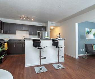 Pet Friendly Apartments For Rent In Clemson Sc