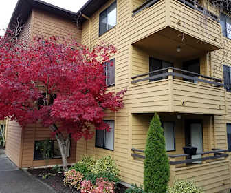 West Seattle 1 Bedroom Apartments For Rent Seattle Wa 56